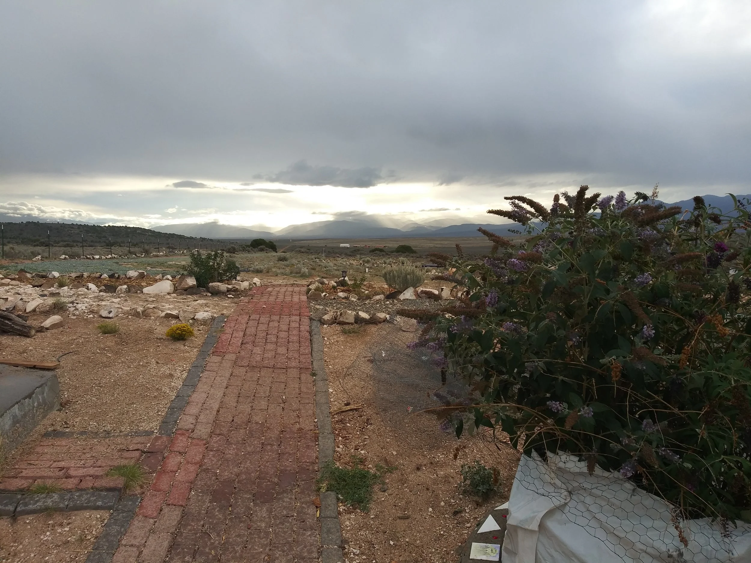 20180901_073317 - Copy.jpg
