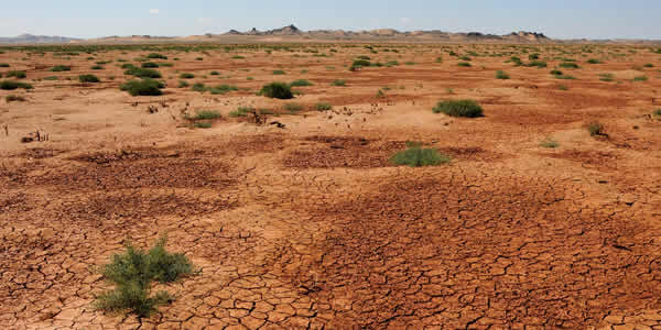 How To Fix Desertification