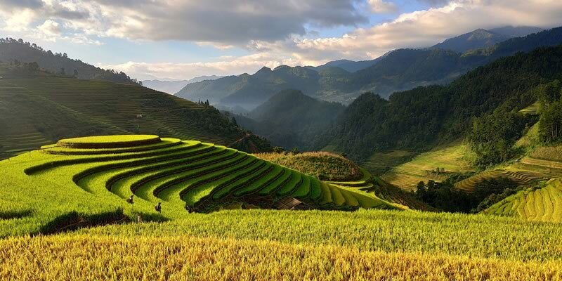 Sustainable Agriculture