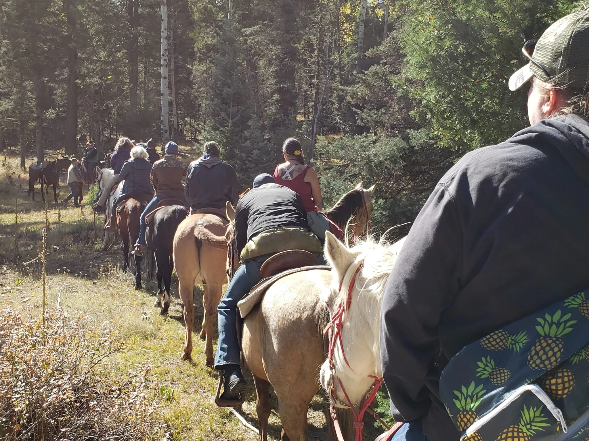 Free 7.5 Day Retreat in Red River for Veterans with PTSD