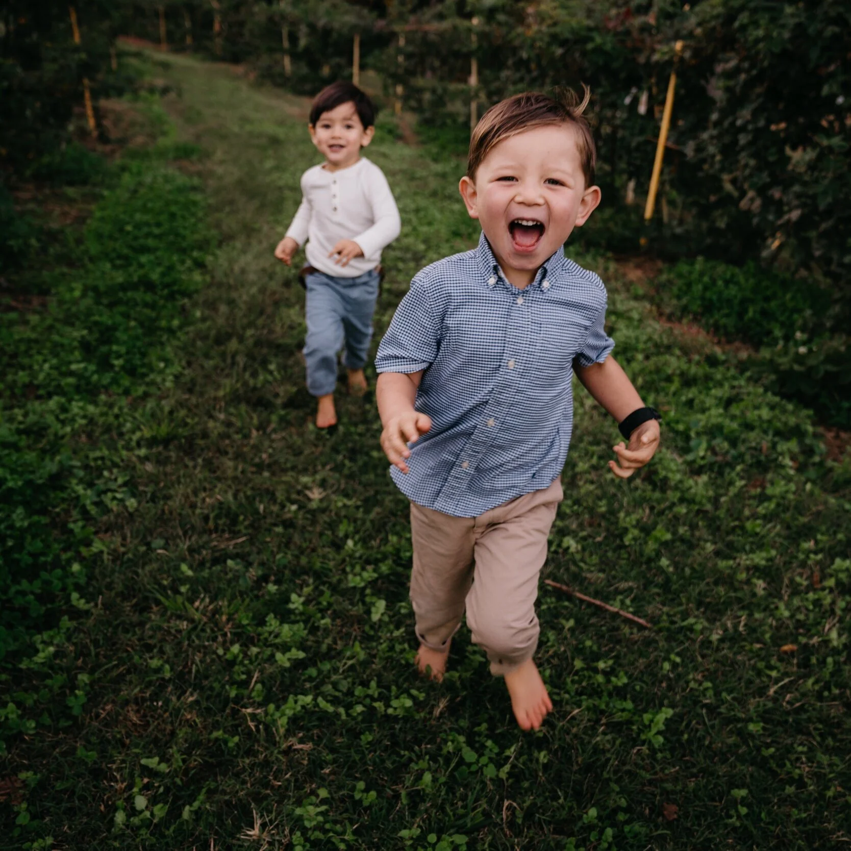 Kids And Nature Quotes 9 Inspiring Quotes Connecting Children With Nature — Thm