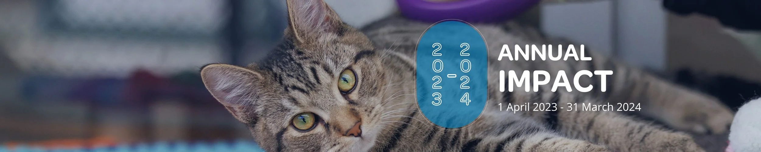 Annual Impact Report — Companion Animals New Zealand
