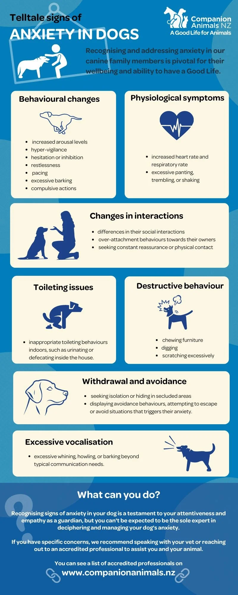 Dog Anxiety Awareness Week — Companion Animals New Zealand