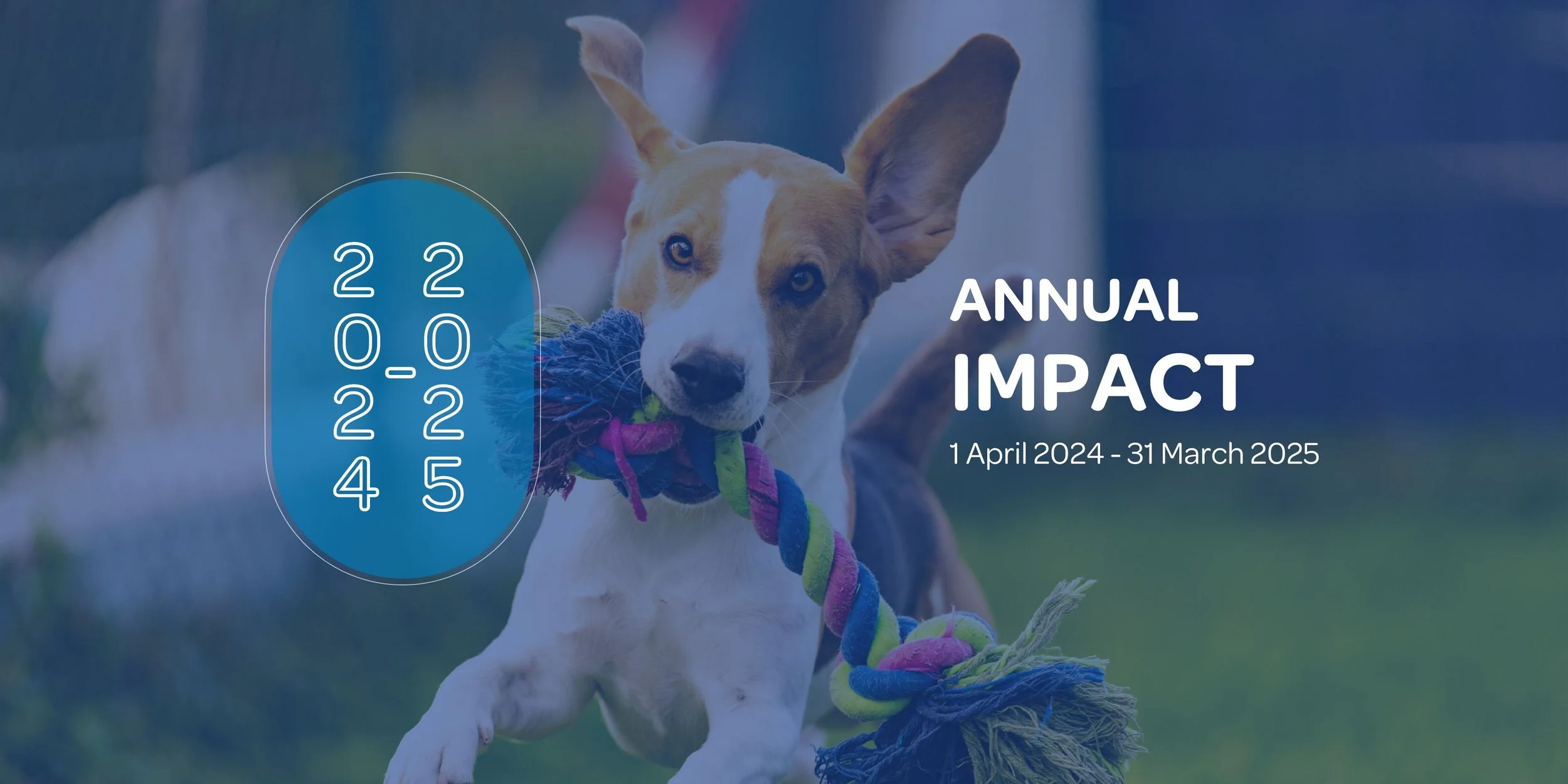 Impact Report 24-25 web banner (1).jpg