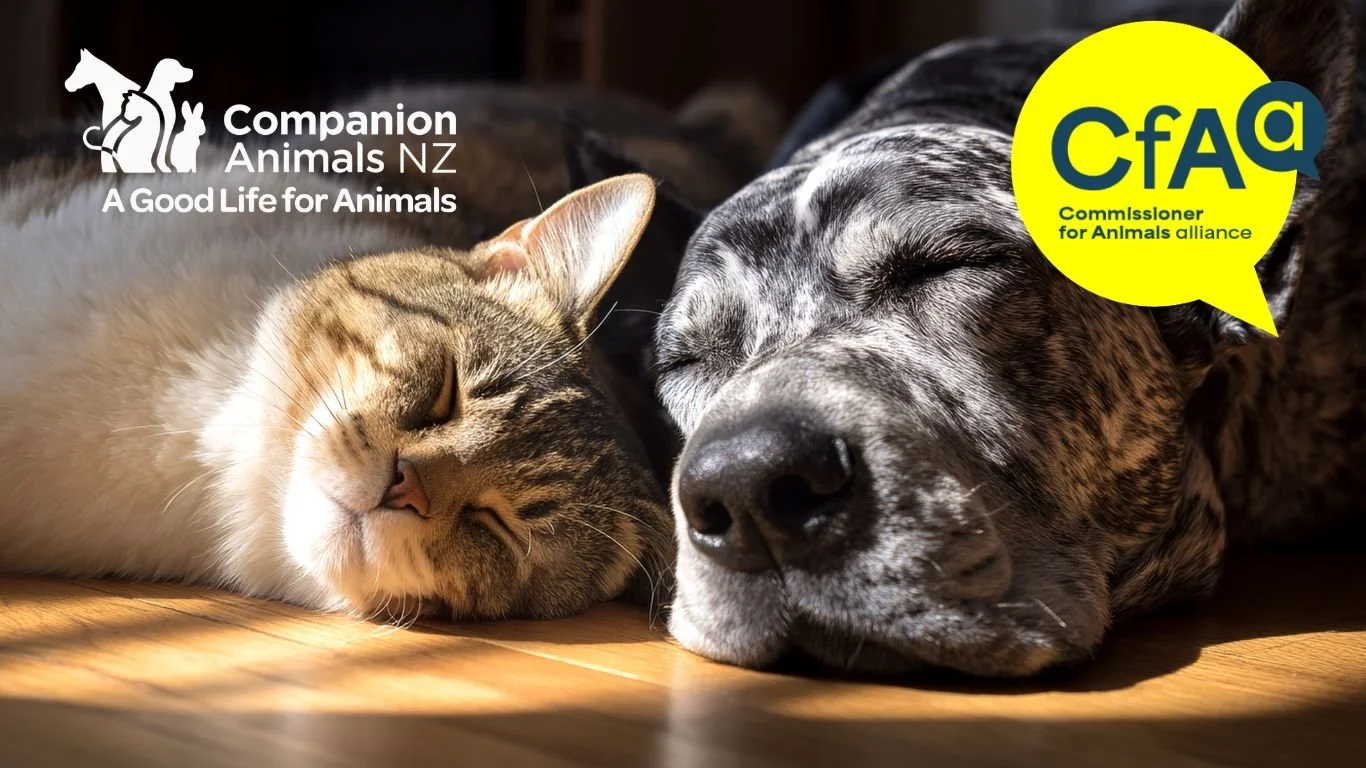 NEWS AND EVENTS — Companion Animals New Zealand