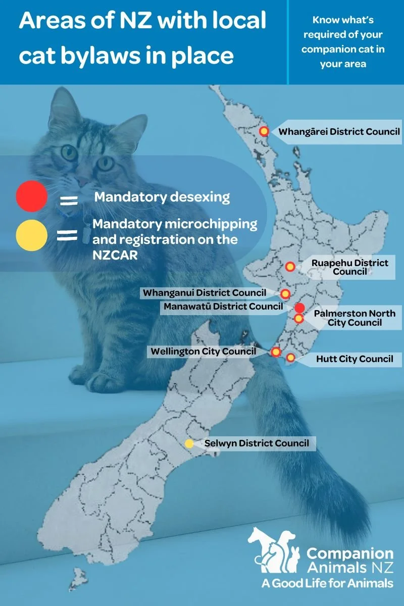 Cat Control Nz Local cat bylaws – what is required, and where, for our feline ...