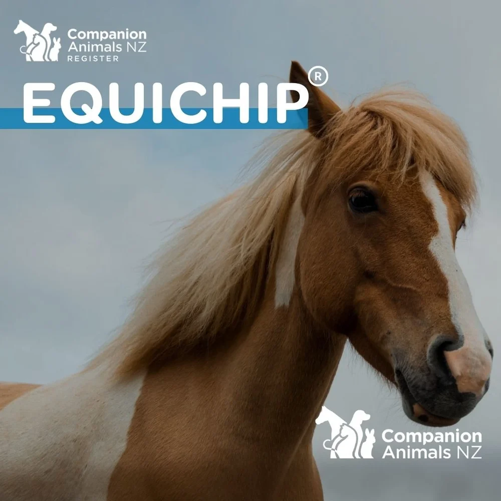 EQUICHIP EVENTS — Companion Animals New Zealand
