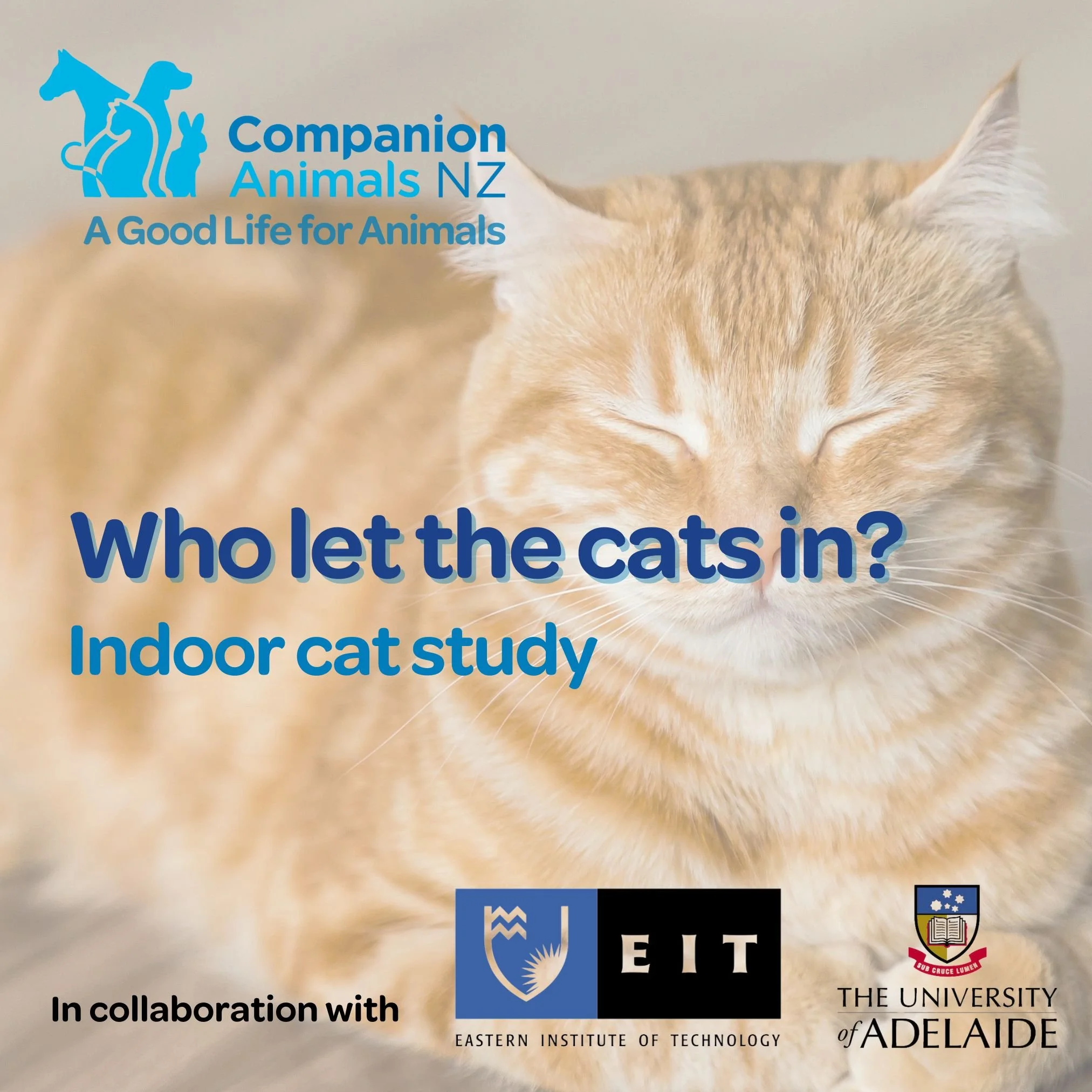 Cat Control Nz Current research — Companion Animals New Zealand