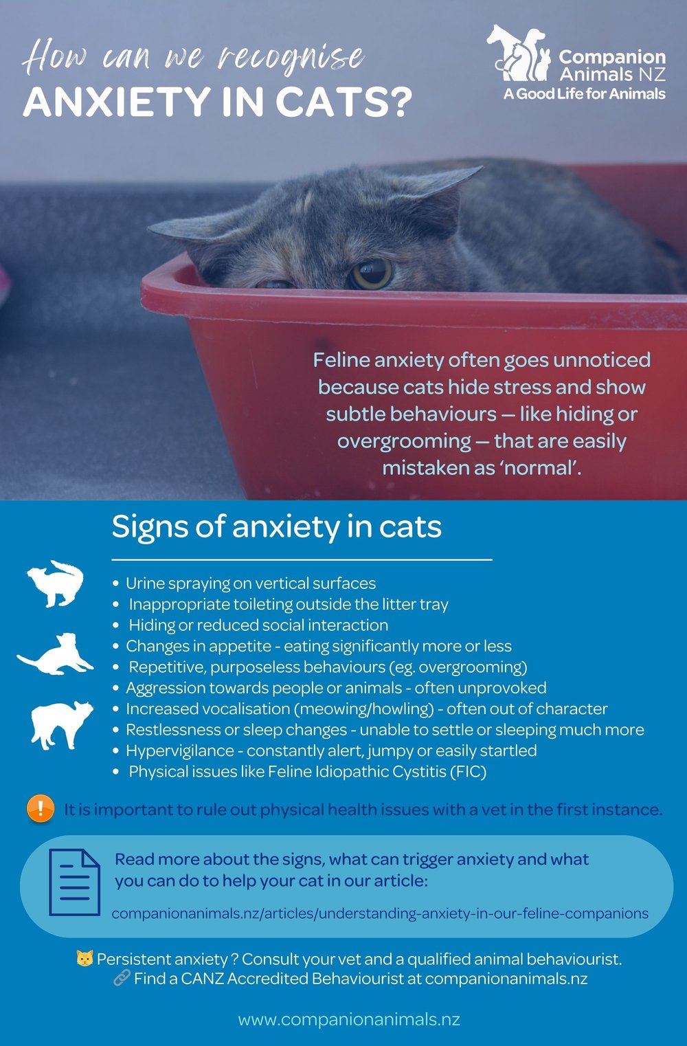 Curated visual reference: Visual Reference: Scaredy Cats How To Recognise And Manage Anxiety In Your
