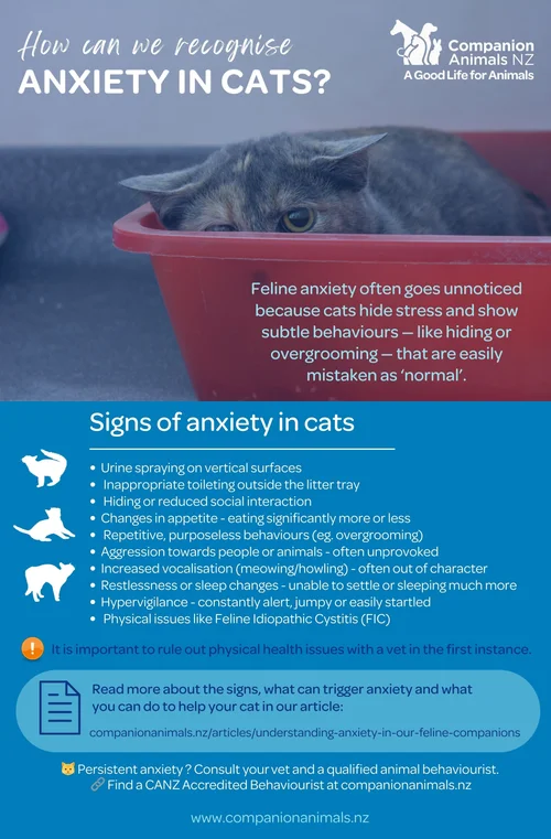 Curated visual reference: Visual Reference: Scaredy Cats How To Recognise And Manage Anxiety In Your