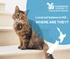 Local cat bylaws – what is required, and where, for our feline ...