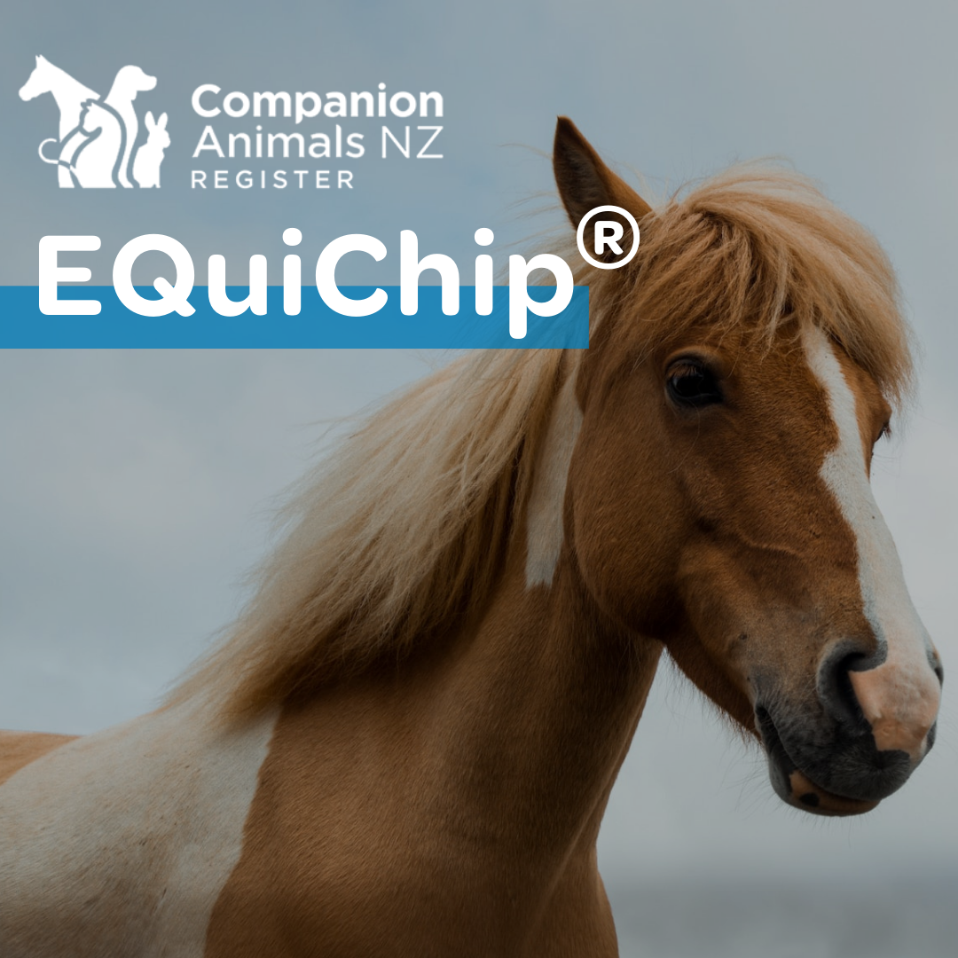 More EQuiChip® events coming soon! — Companion Animals New Zealand