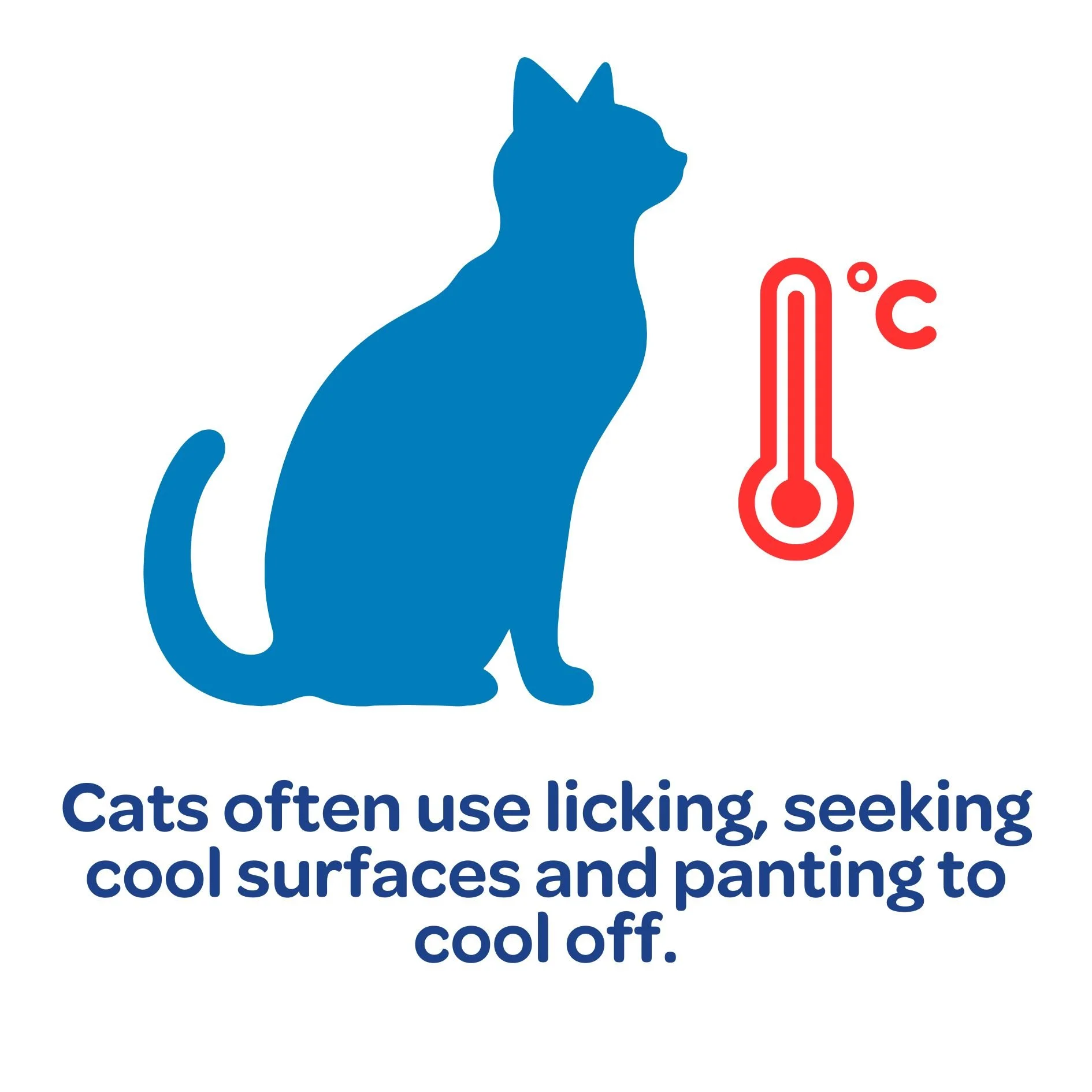 summer-welfare-tips-companion-animals-new-zealand