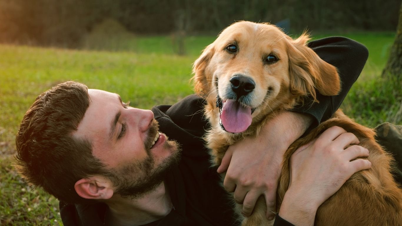 Dog Affect Does your mood affect how you read dog emotions? — Companion Animals ...