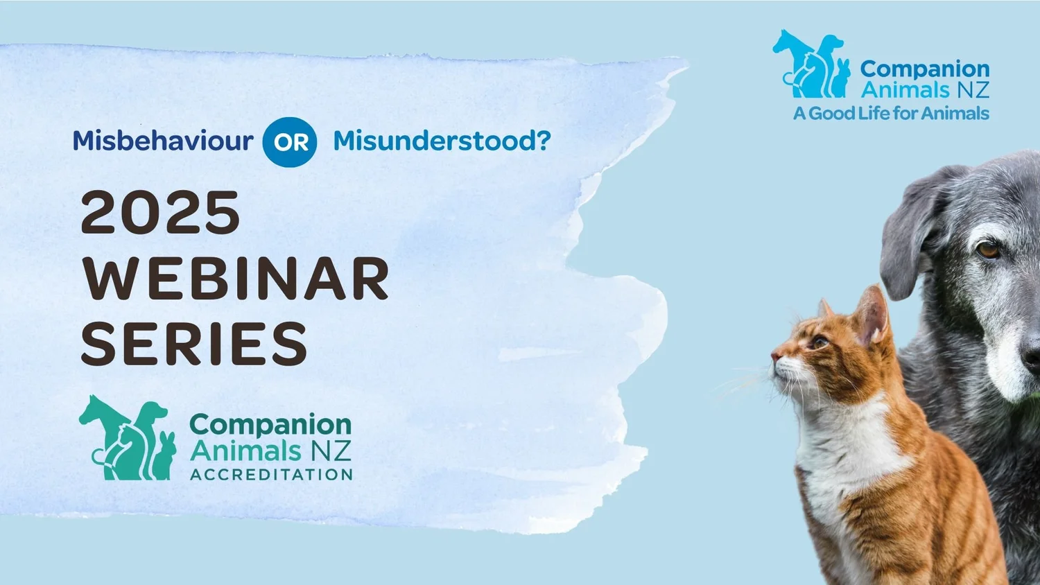 'Misbehaviour or Misunderstood?' - 2025 Webinar Series Recap ...