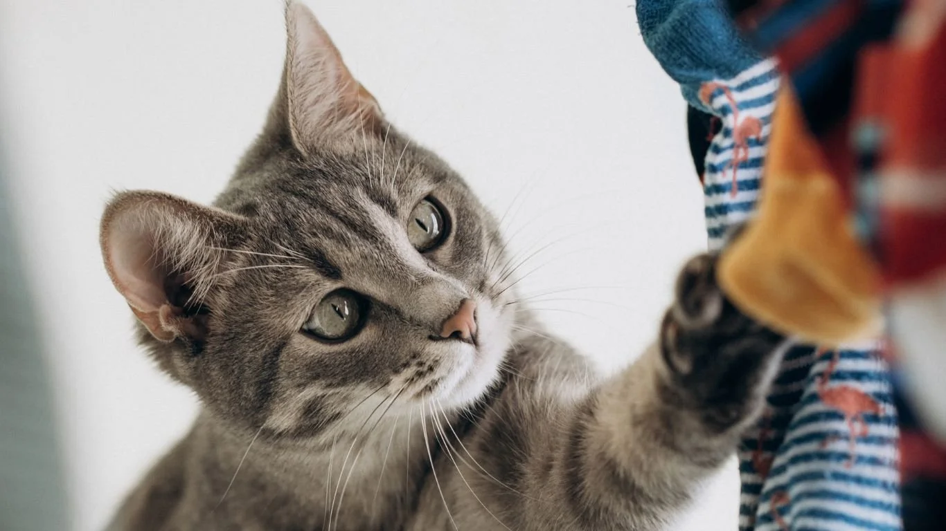 website tile images (Website) (23).jpg