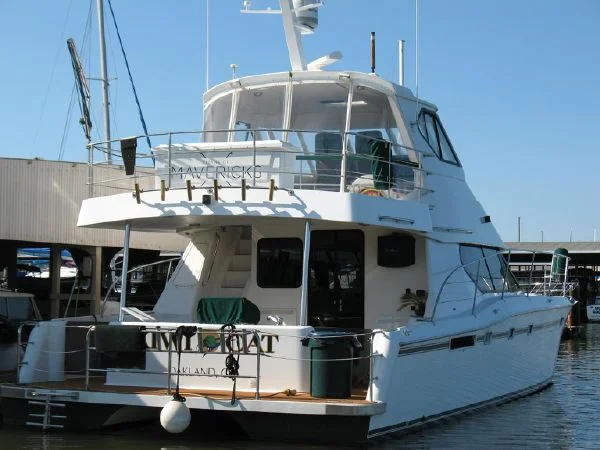 46-Custom-Power-Cat-01.jpg