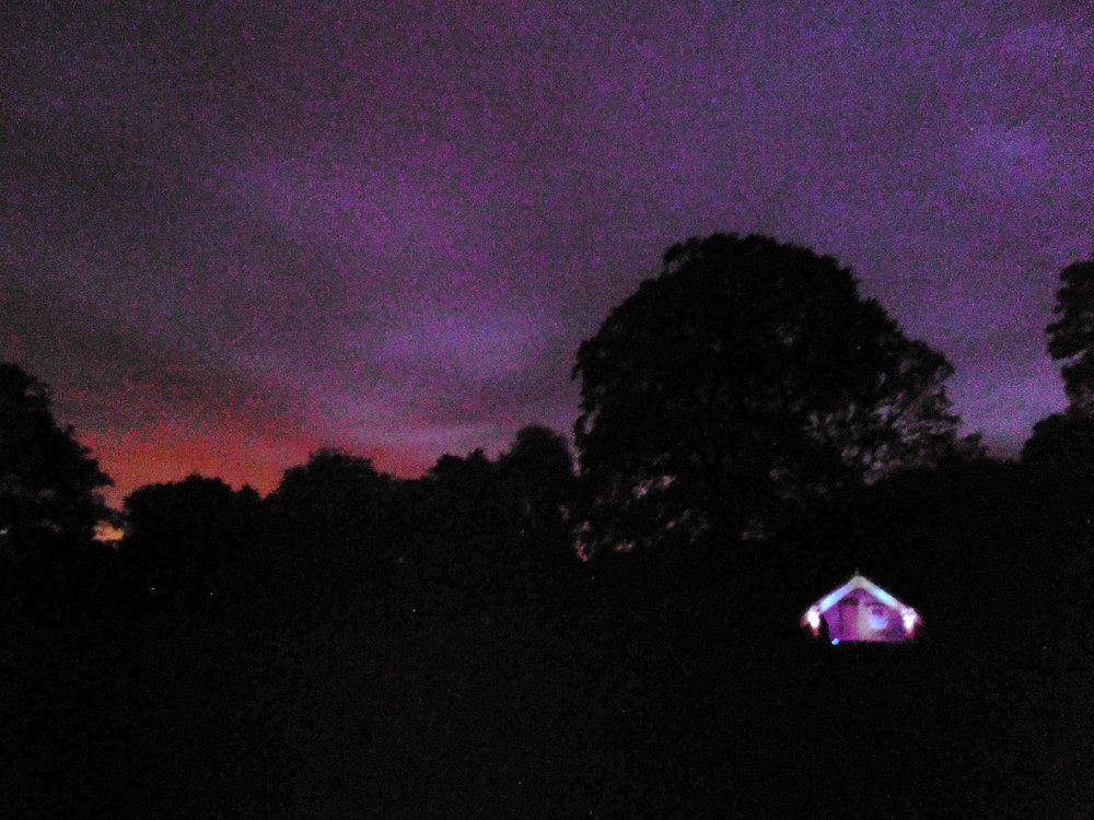  Light and sound installation at Hinemihi by Kura Puke and Stuart Foster, Massey University, New Zealand. 2014 Photo R. O'Callaghan 