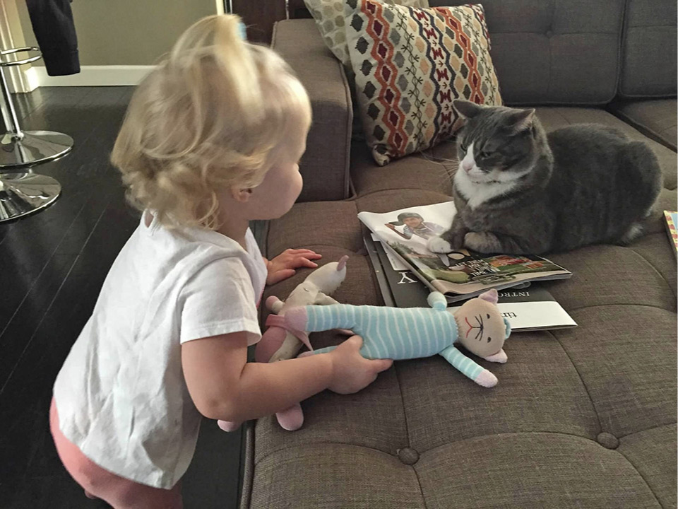 Meow Meow Versus Cat