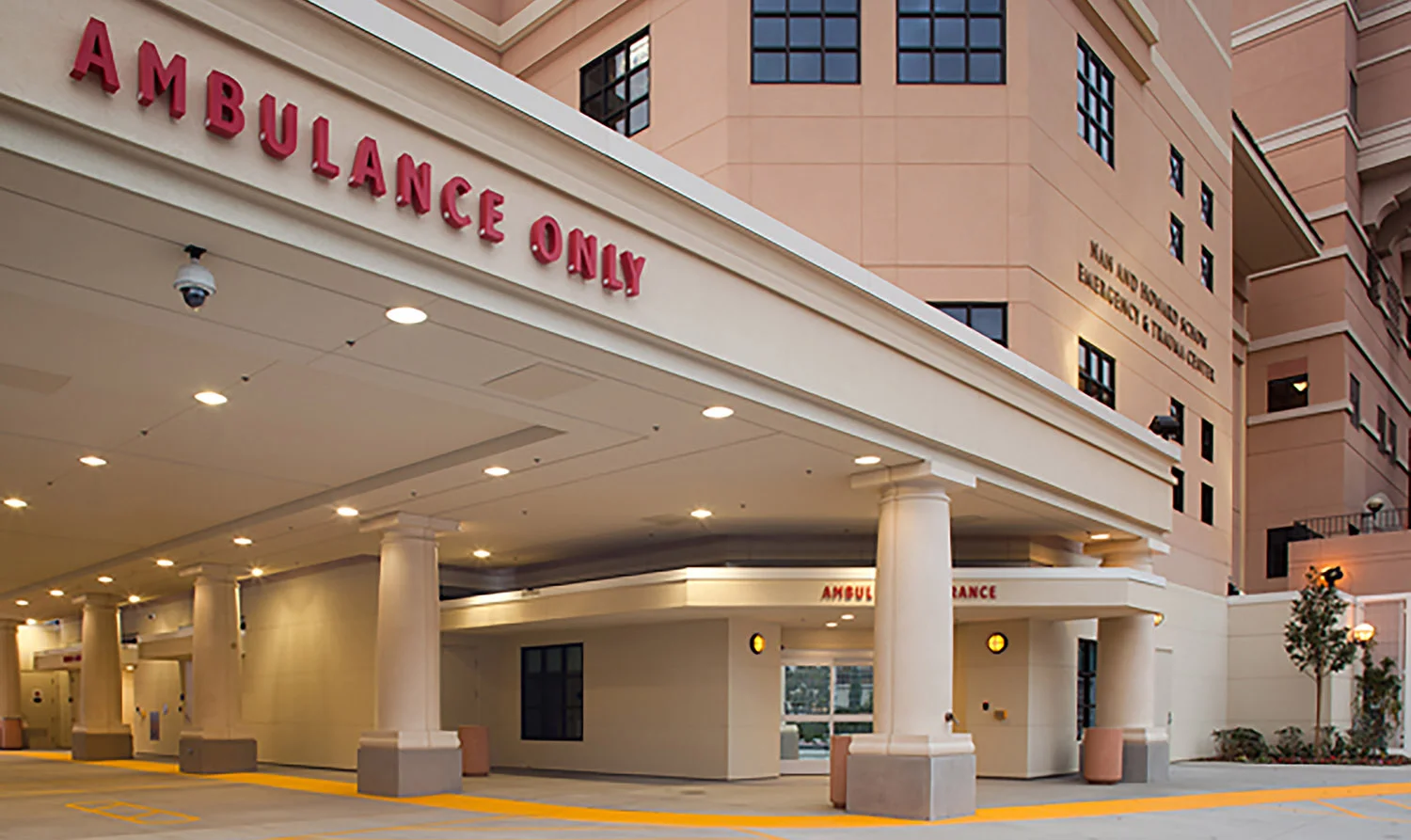 Thank You, First Responders, Nurses, Doctors, Social Workers