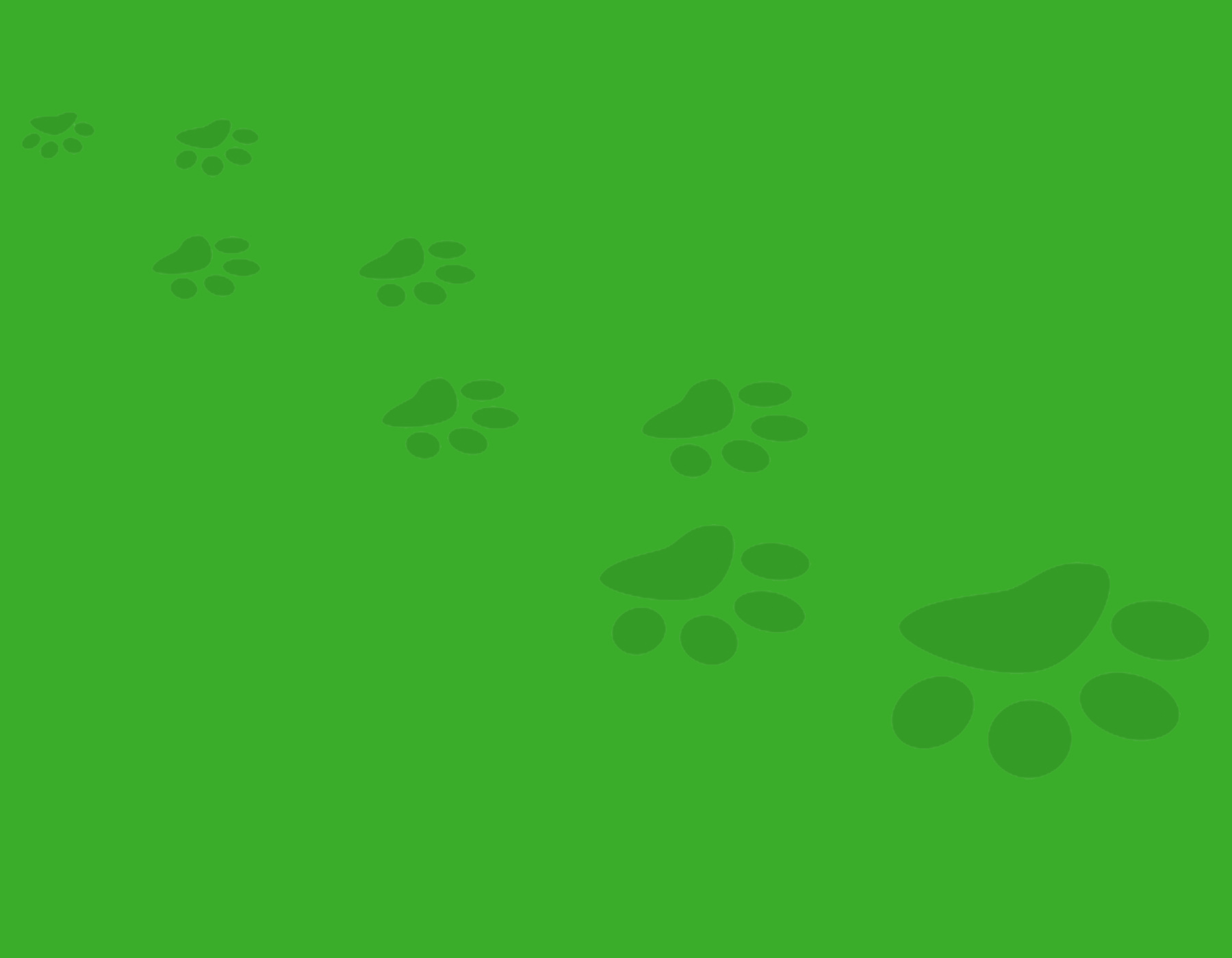 Block-Green-Paw-Prints.jpg
