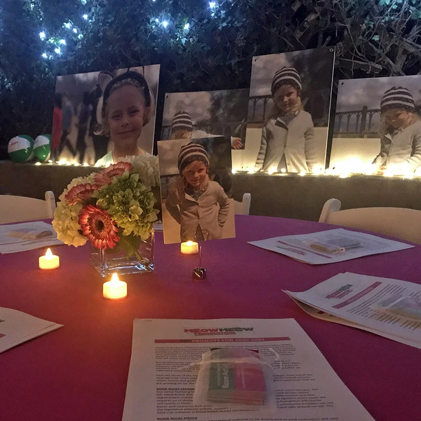 2020 Foundation Goals Announced at Inaugural Event