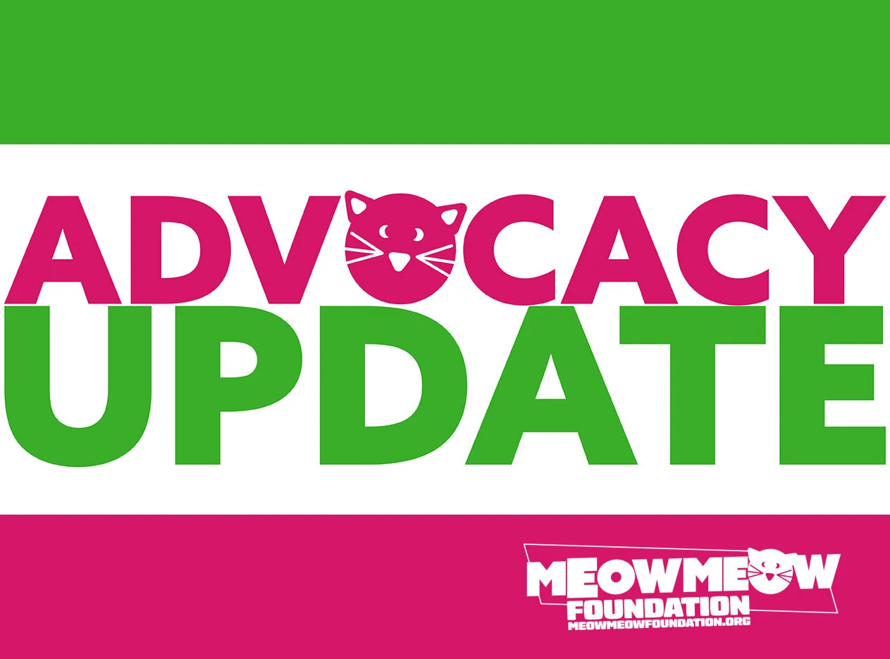 Moving Forward During Coronavirus