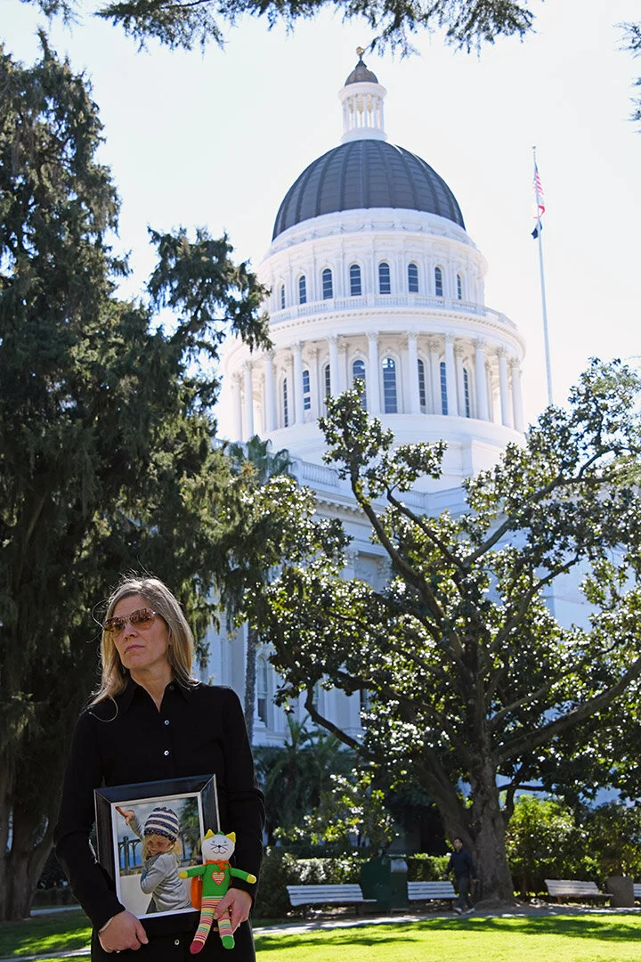 Lobbyist Influence Over Legislators Causes Meow Meow Foundation to Pull Bill
