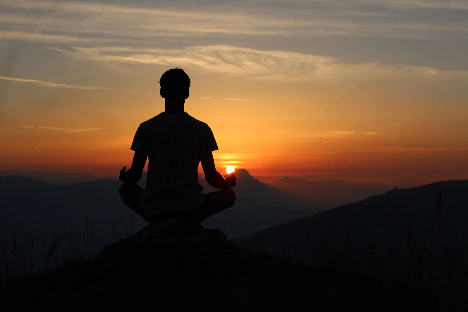A Case for Meditation
