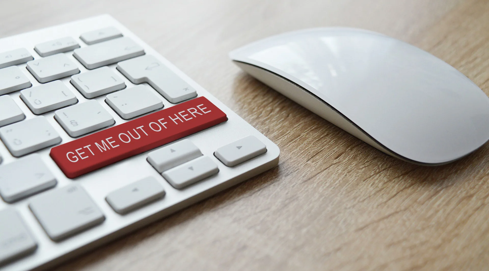 Don't get tricked by cyber scams