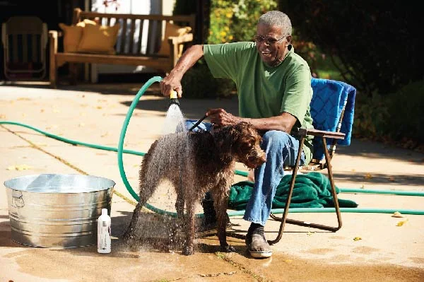 5 Tips for Staying Safe in the Summer Heat