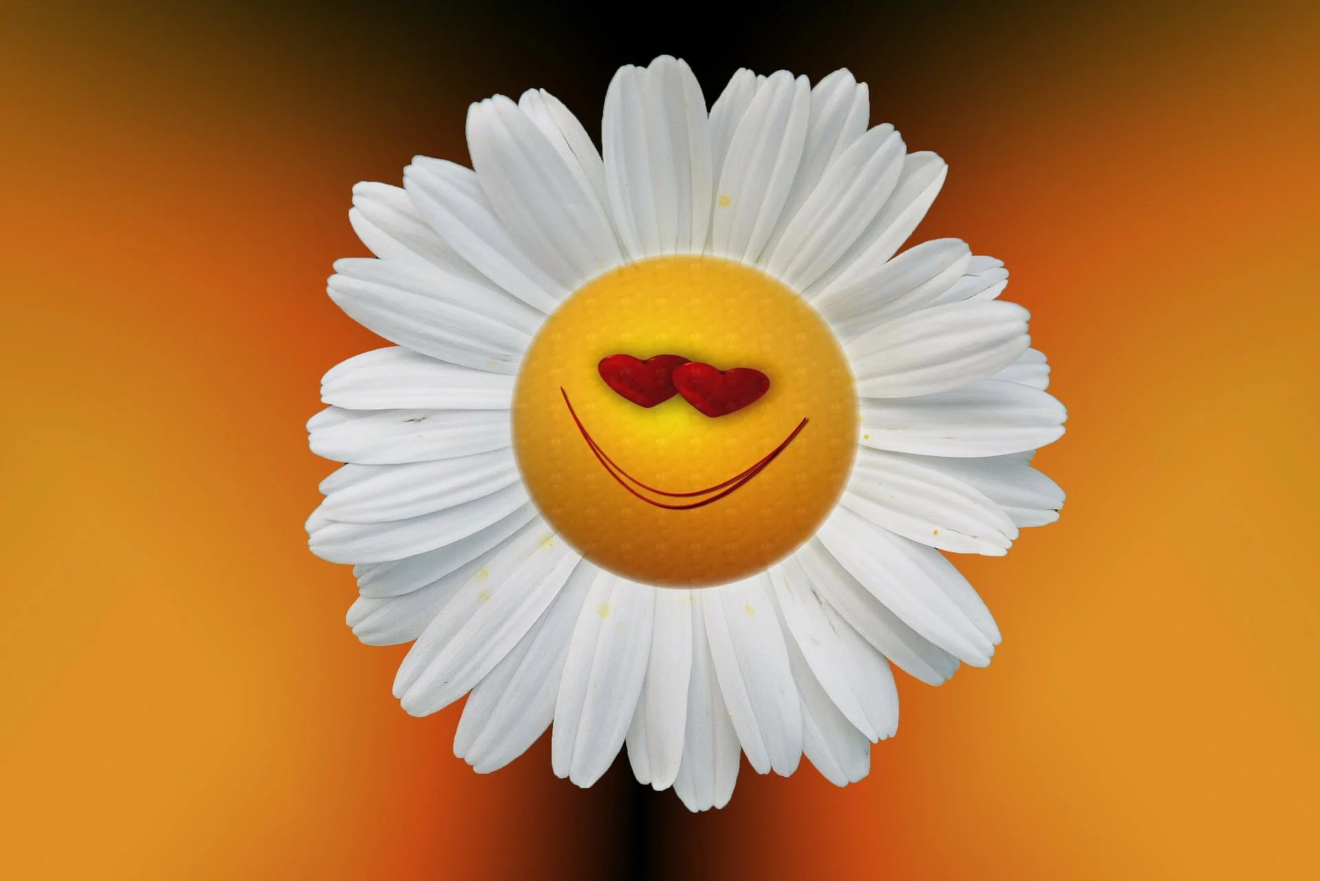 A Happy Life