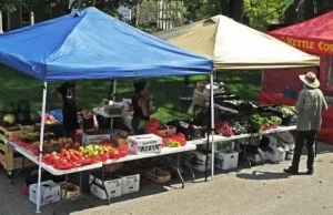 Farmers Market Season: The Foods Your Body Craves!