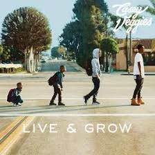 Casey Veggies - Live And Grow.jpg