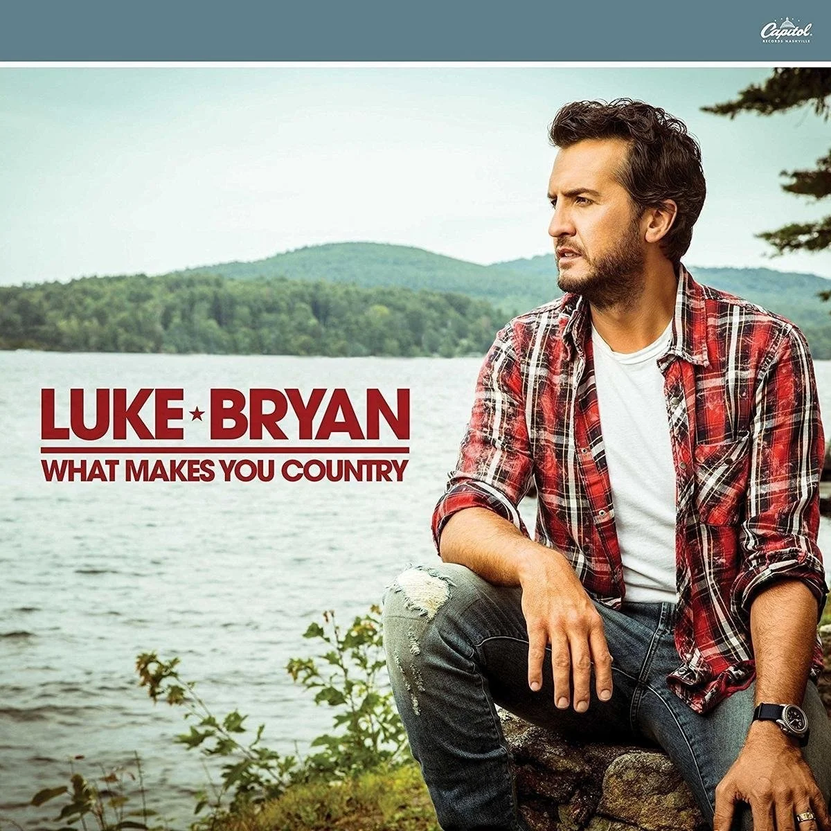 Luke Bryan - What Makes You Country.jpg