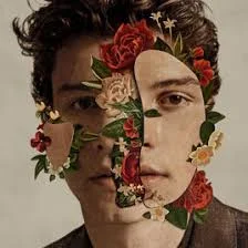 Shawn Mendes - Shawn mendes.jpg