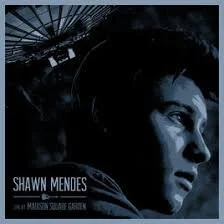Shawn Mendes - Live At Madison Square.jpg