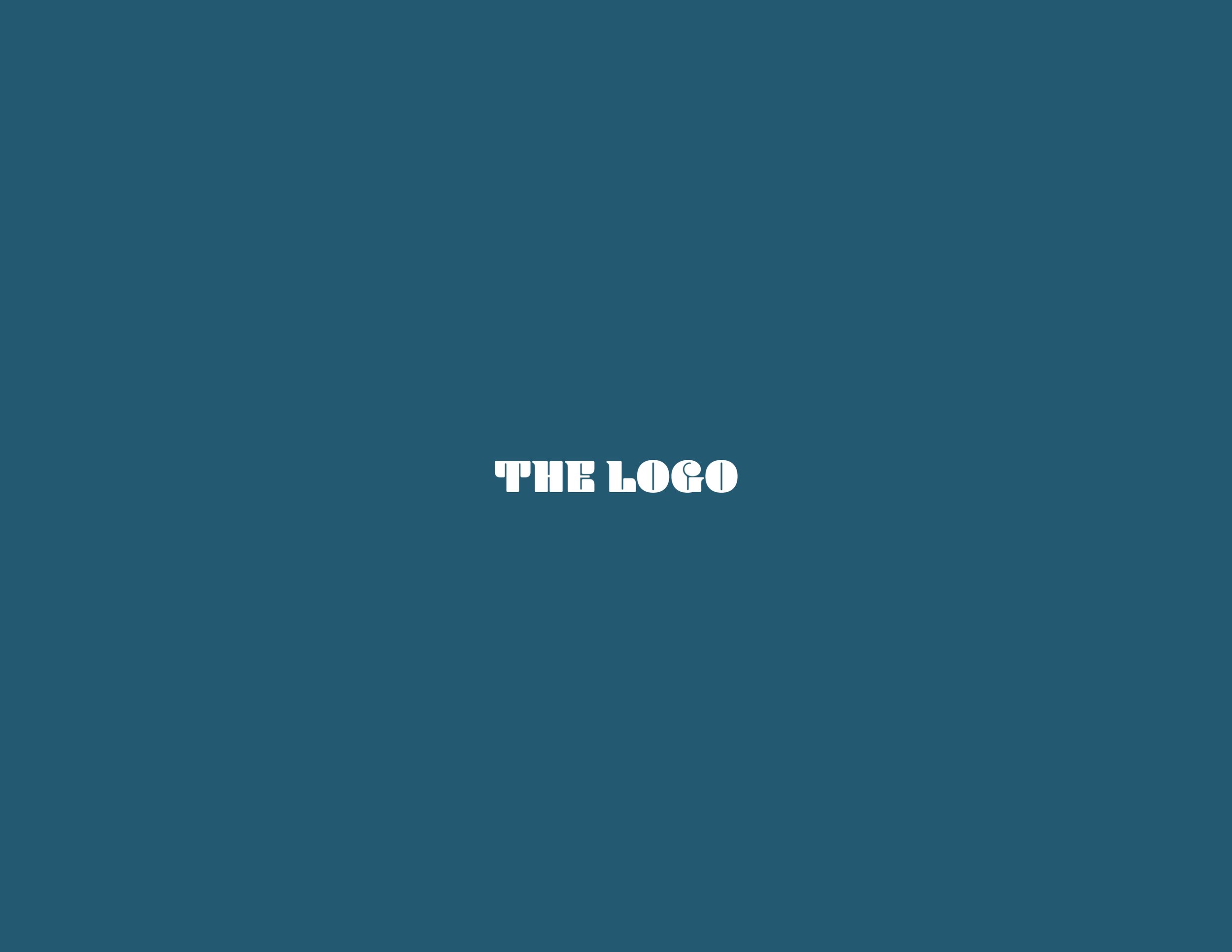 Branding Guide Slides3.jpg