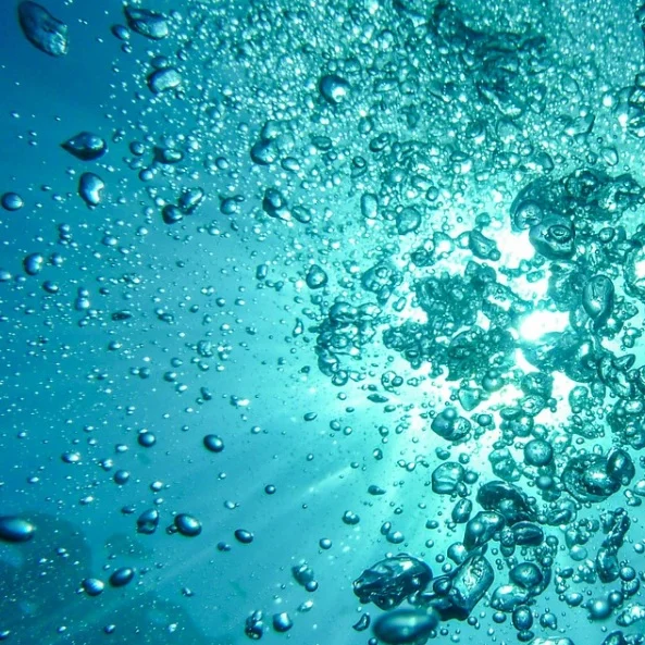 STEP #1: Elements from the air (like CO2, Oxygen, Nitrogen) are combined with water and minerals.