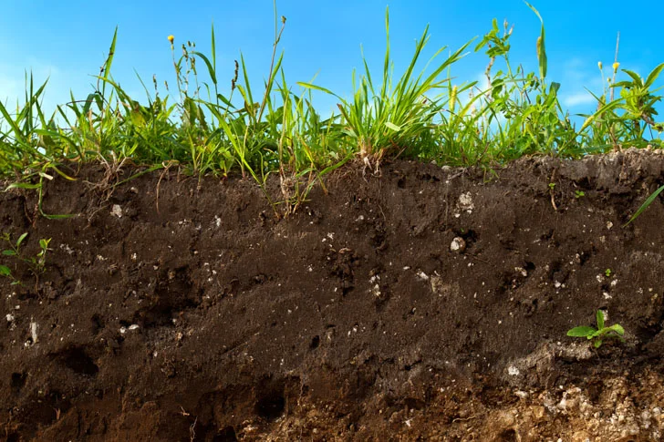 topsoil-shutterstock.jpeg