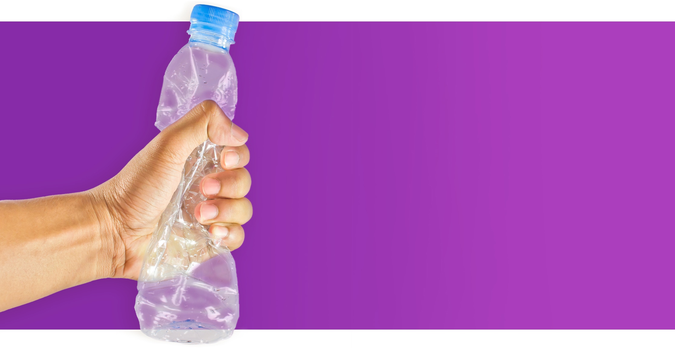 Purple_bottle_hand_crop.jpg