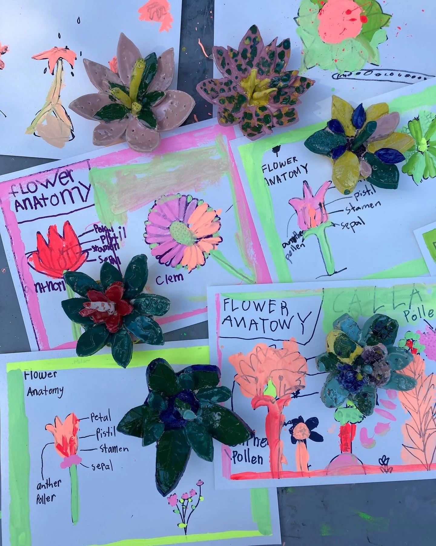  Finished flower studies 