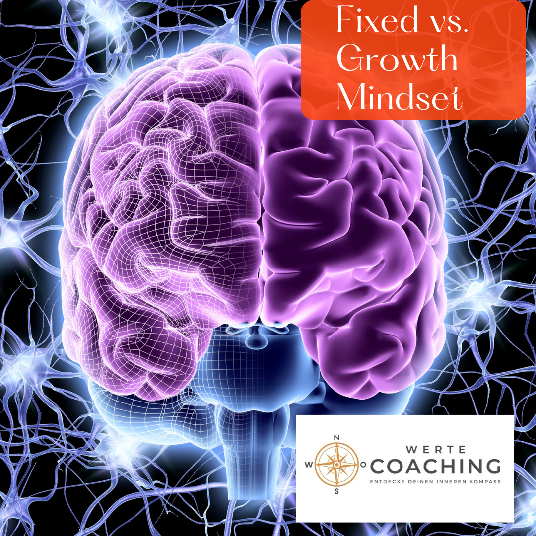 Fixed or growth mindset?