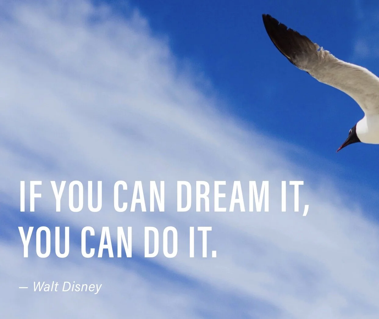 If you can dream it - you can do it !