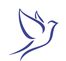 Trainer wanted ! Team "Mentally strengthened" Switzerland