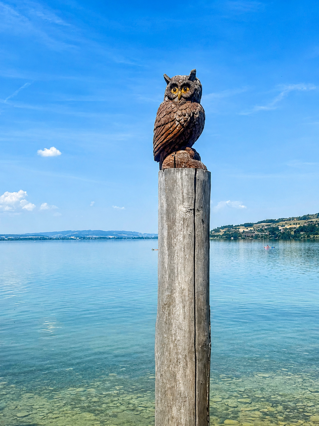 Die Eule am See 🦉✨