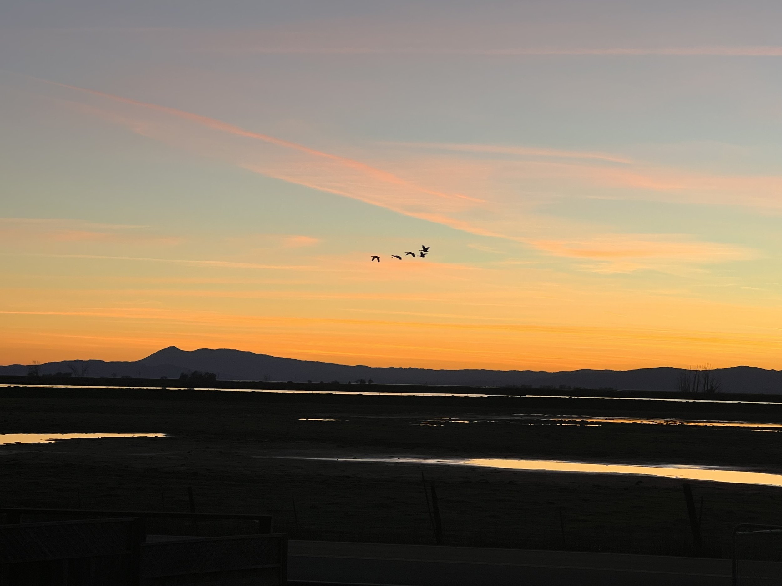 Mt Tam Sunset frm backyard eastface.jpg