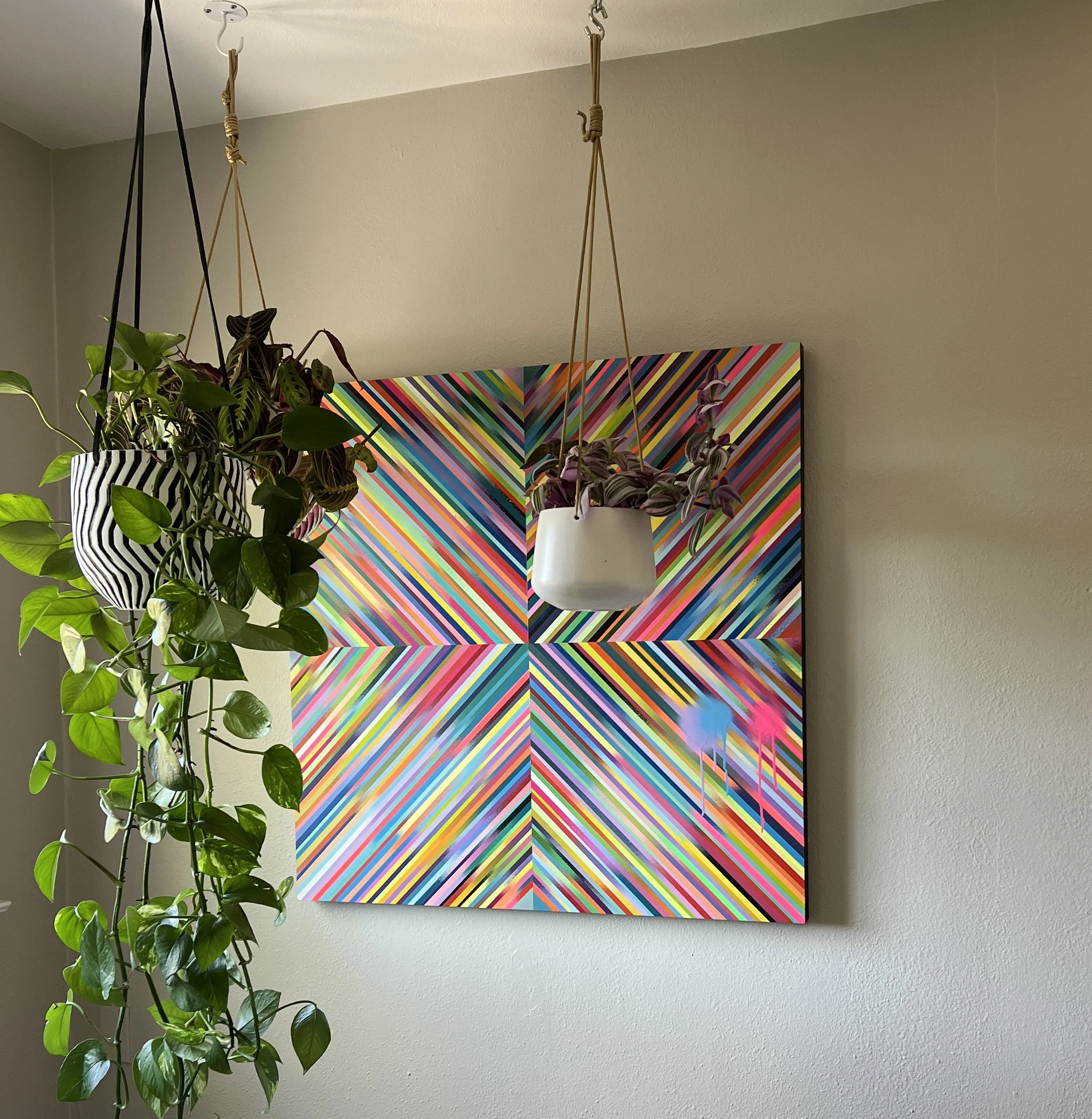 hangingplantpic.jpg