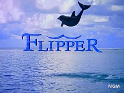 Flipper.jpg