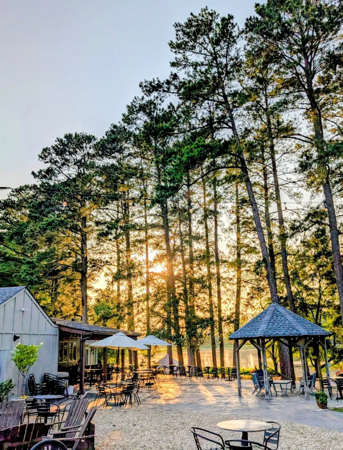 Join us this evening for Summer Nights at The Winery by the Lake! 🌅

We&rsquo;re open from 4&ndash;9pm, with live music by @andrew.magruder.music from 5:30&ndash;8:30pm.

Sip wine, soak in the sunset, and unwind by the lake with live music and beaut